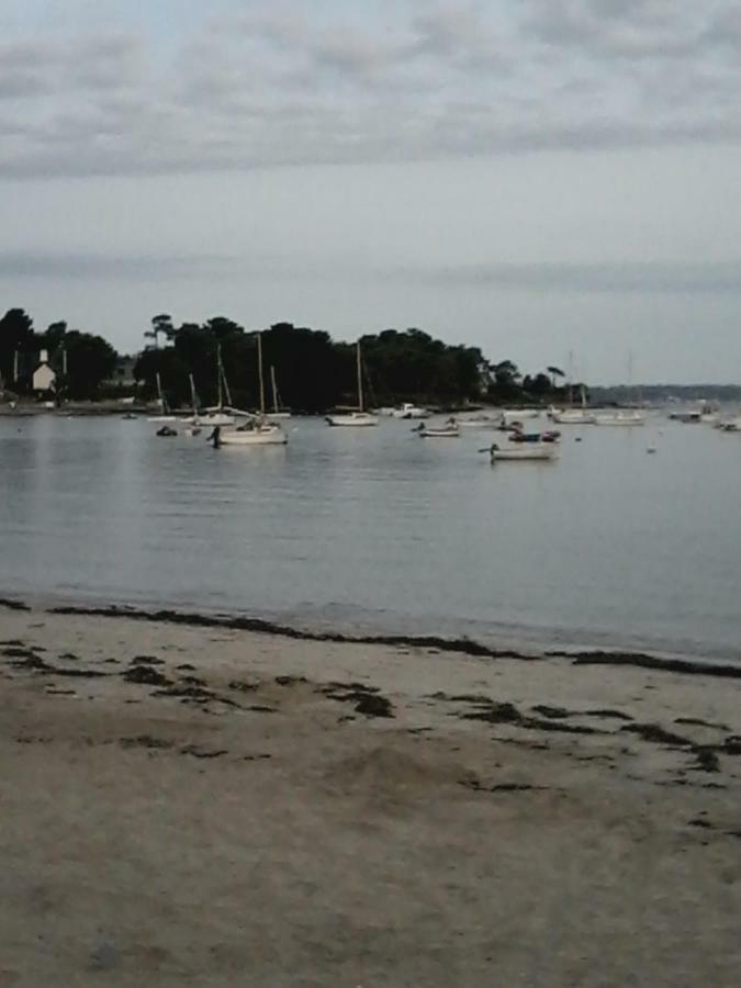 les roches du Cabellou 150M de la mer Concarneau Eksteriør bilde
