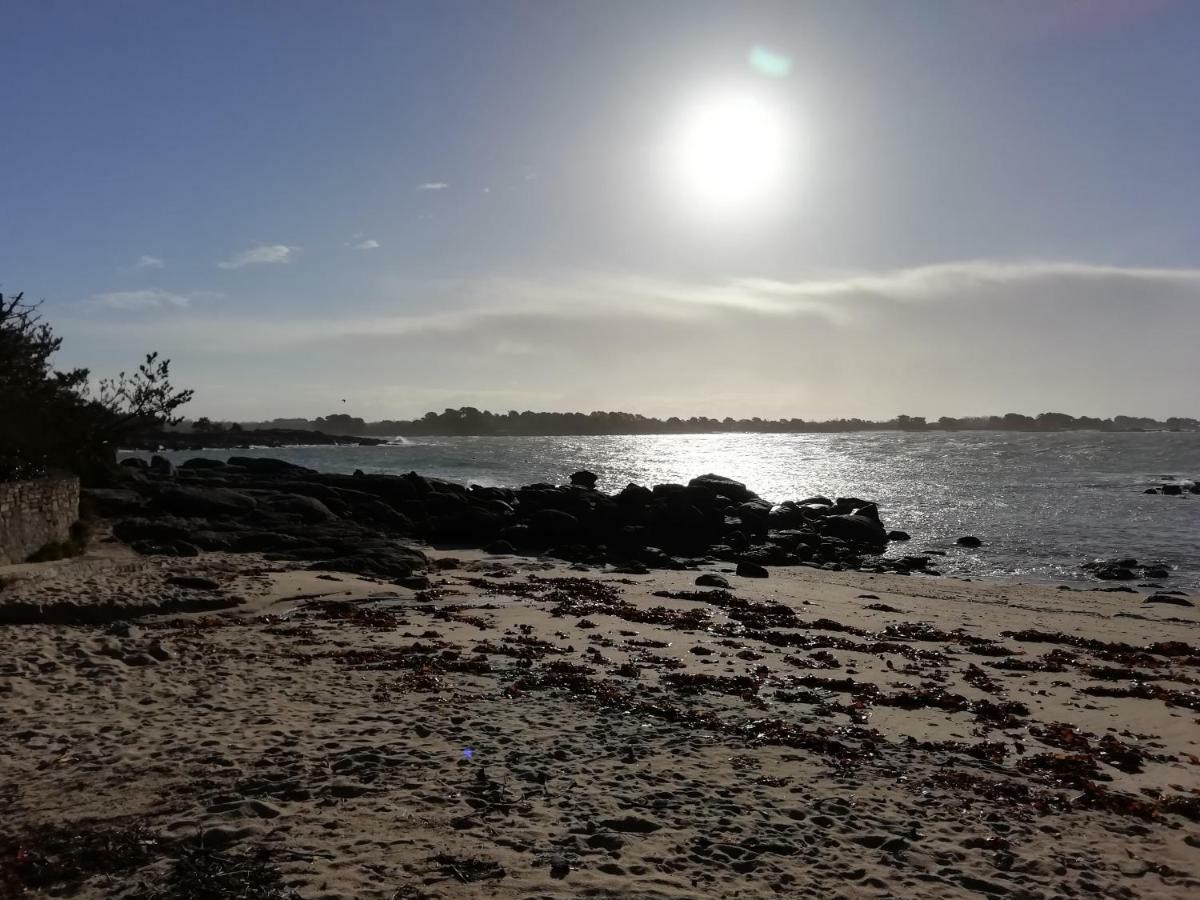 les roches du Cabellou 150M de la mer Concarneau Eksteriør bilde