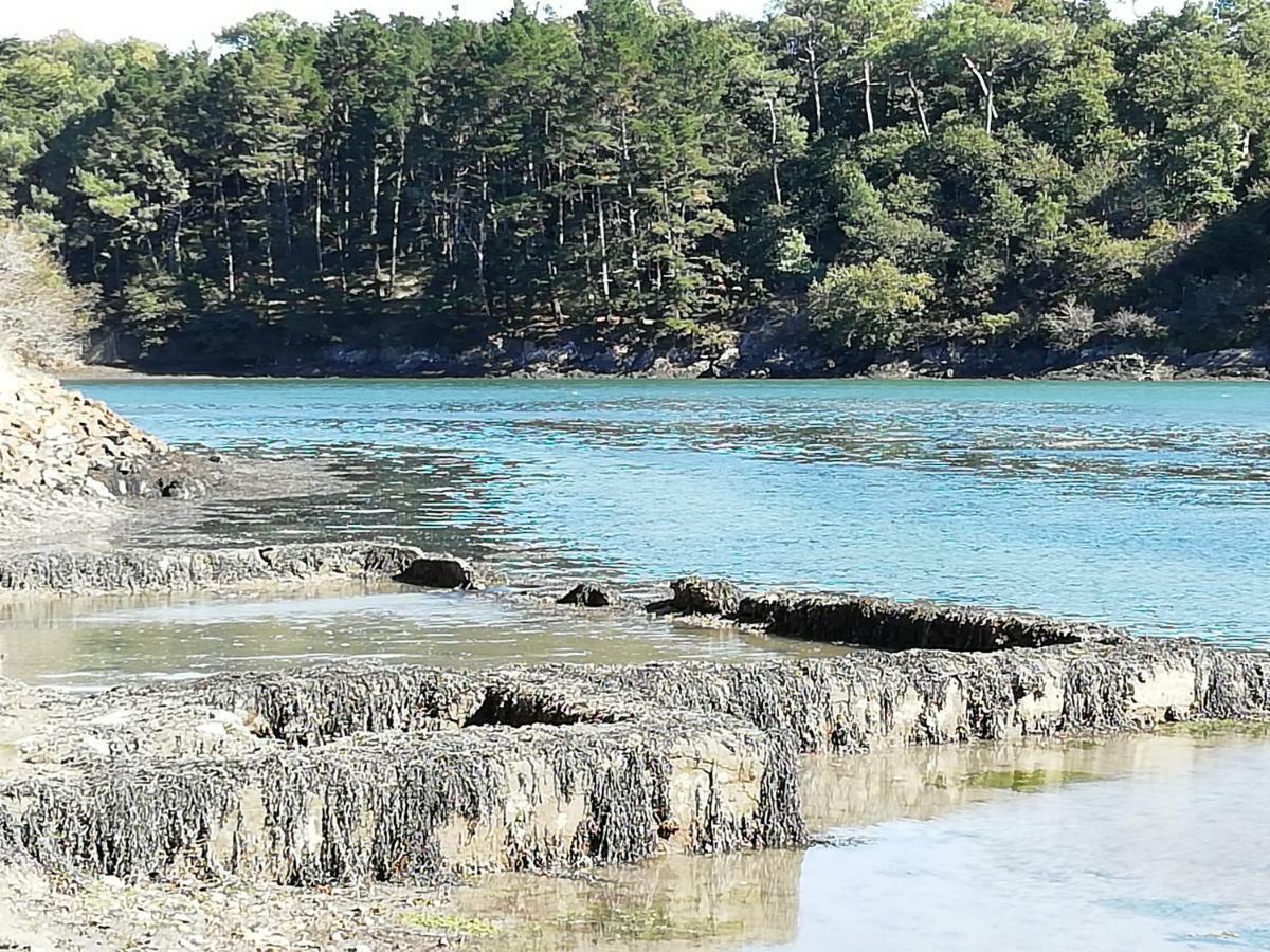 les roches du Cabellou 150M de la mer Concarneau Eksteriør bilde