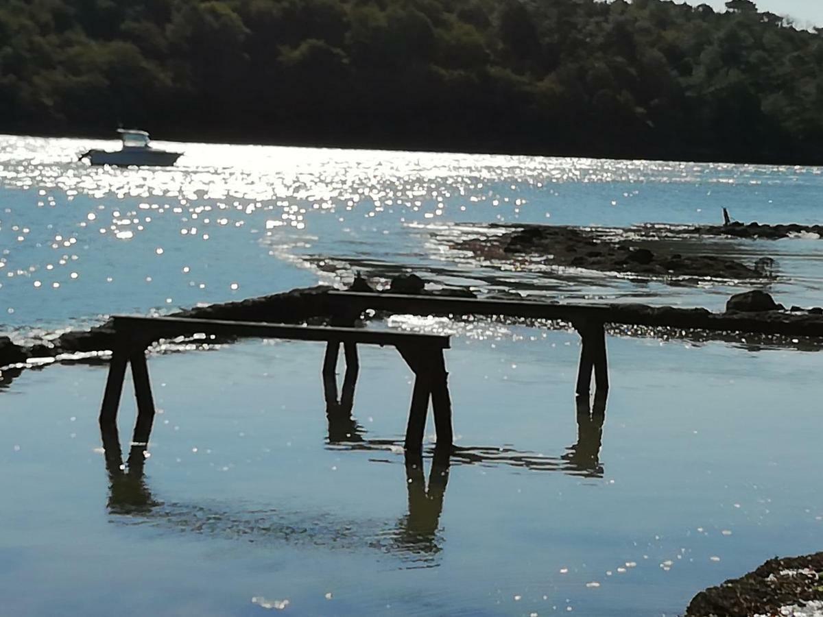 les roches du Cabellou 150M de la mer Concarneau Eksteriør bilde