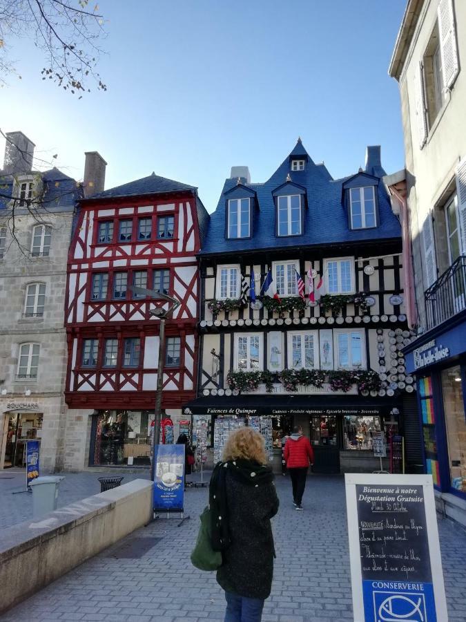 les roches du Cabellou 150M de la mer Concarneau Eksteriør bilde